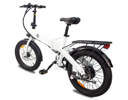 Zoonlai Falcon