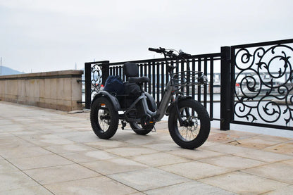 Smartravel Hauler ST301 Dual Battery Cargo Electric Tricycle