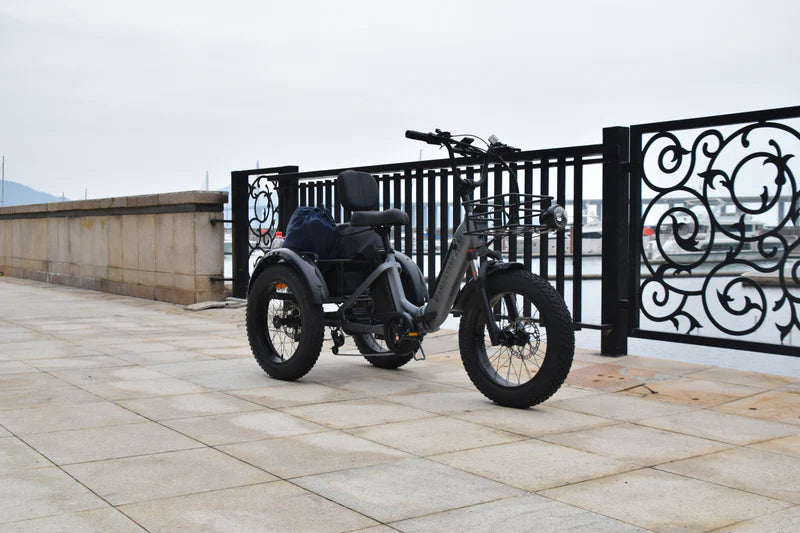 Smartravel Hauler ST301 Dual Battery Cargo Electric Tricycle