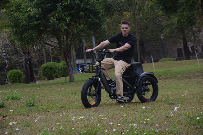 Smartravel Hauler ST301 Dual Battery Cargo Electric Tricycle