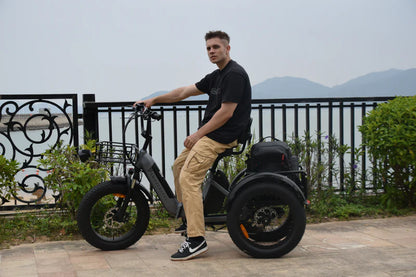 Smartravel Hauler ST301 Dual Battery Cargo Electric Tricycle