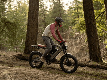 Smartravel Raptor ST202 Pro Dual Motor and Battery eBike