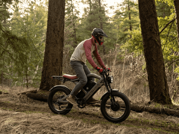 Smartravel Raptor ST202 Pro Dual Motor and Battery eBike